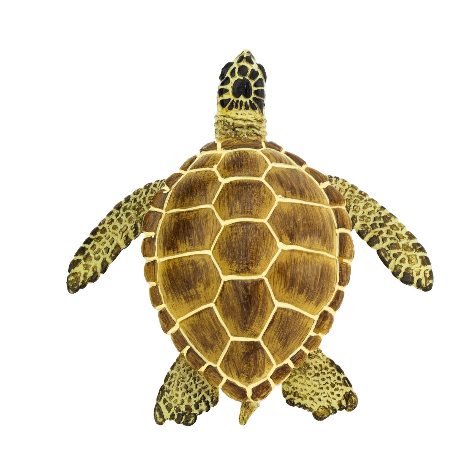Loggerhead Turtle Toy-2