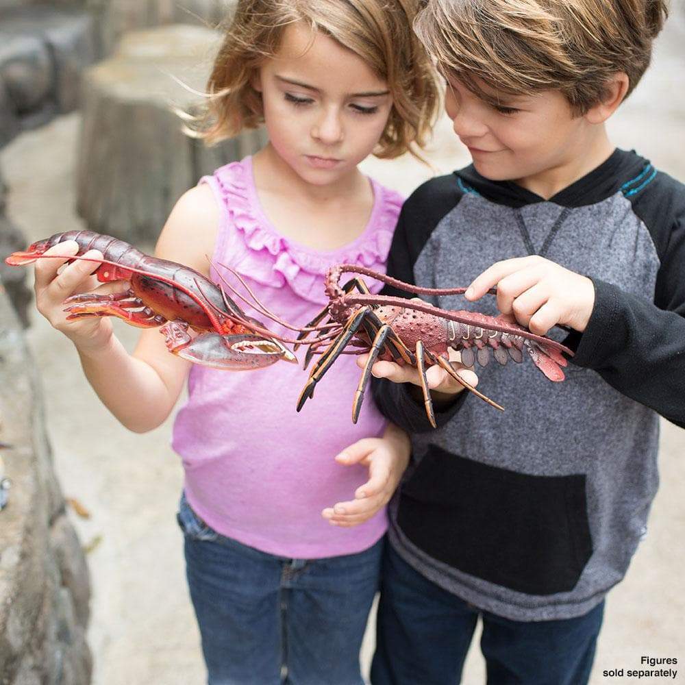 Maine Lobster Toy-2