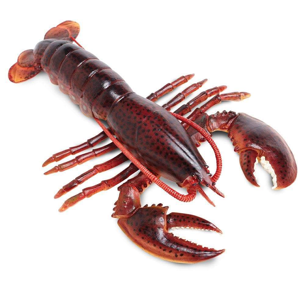 Maine Lobster Toy-0