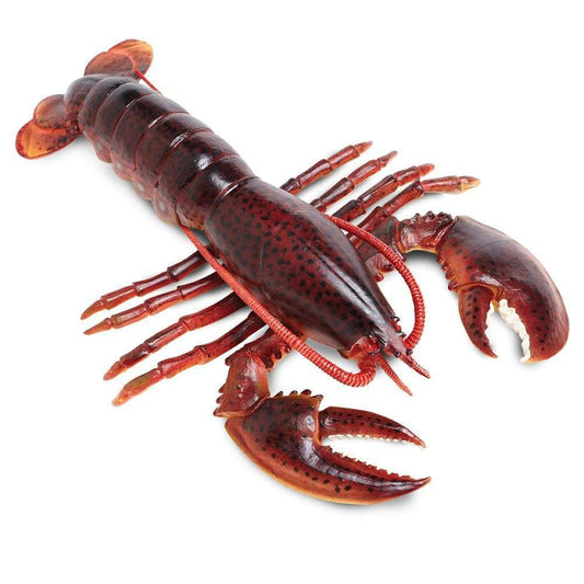 Maine Lobster Toy-0