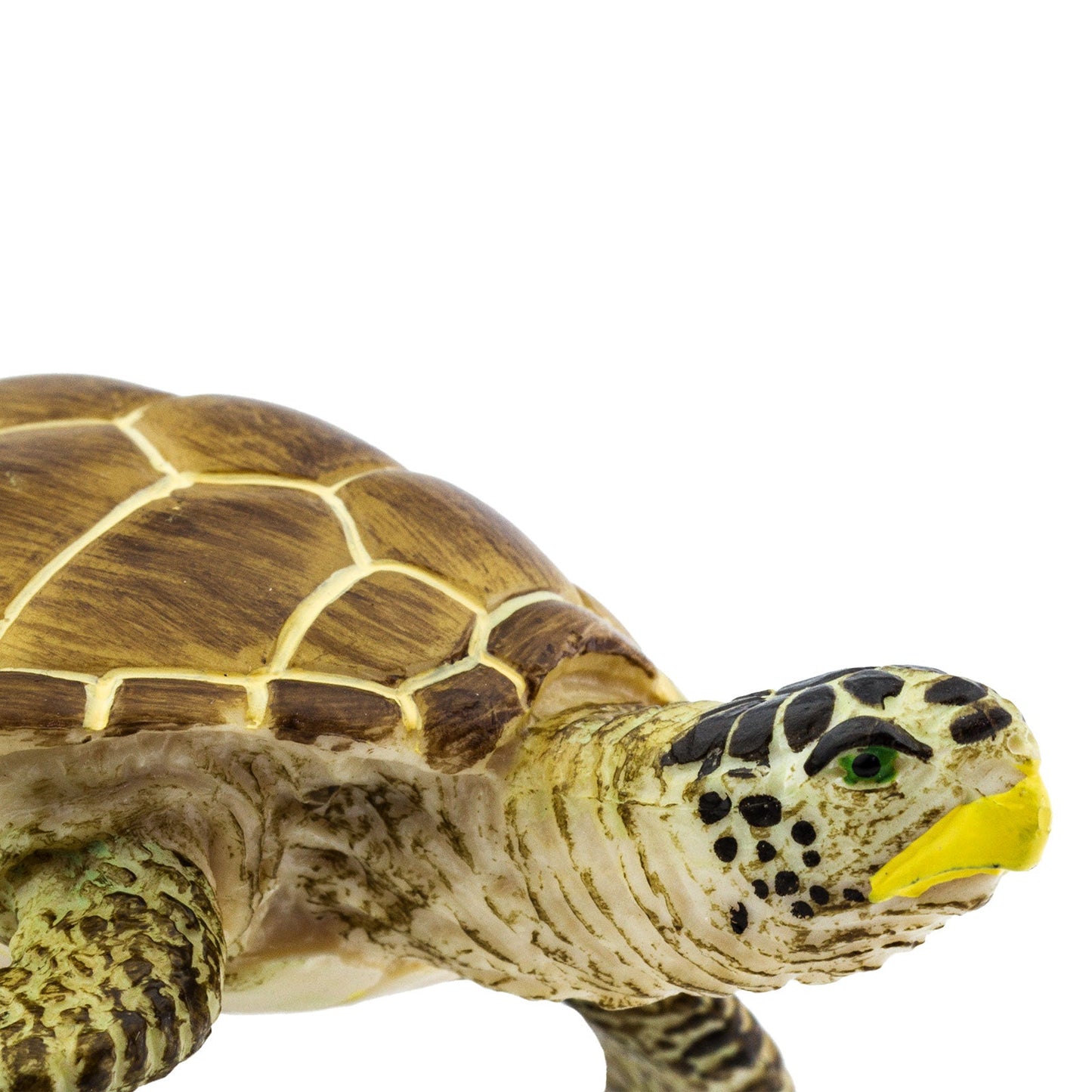 Loggerhead Turtle Toy-3