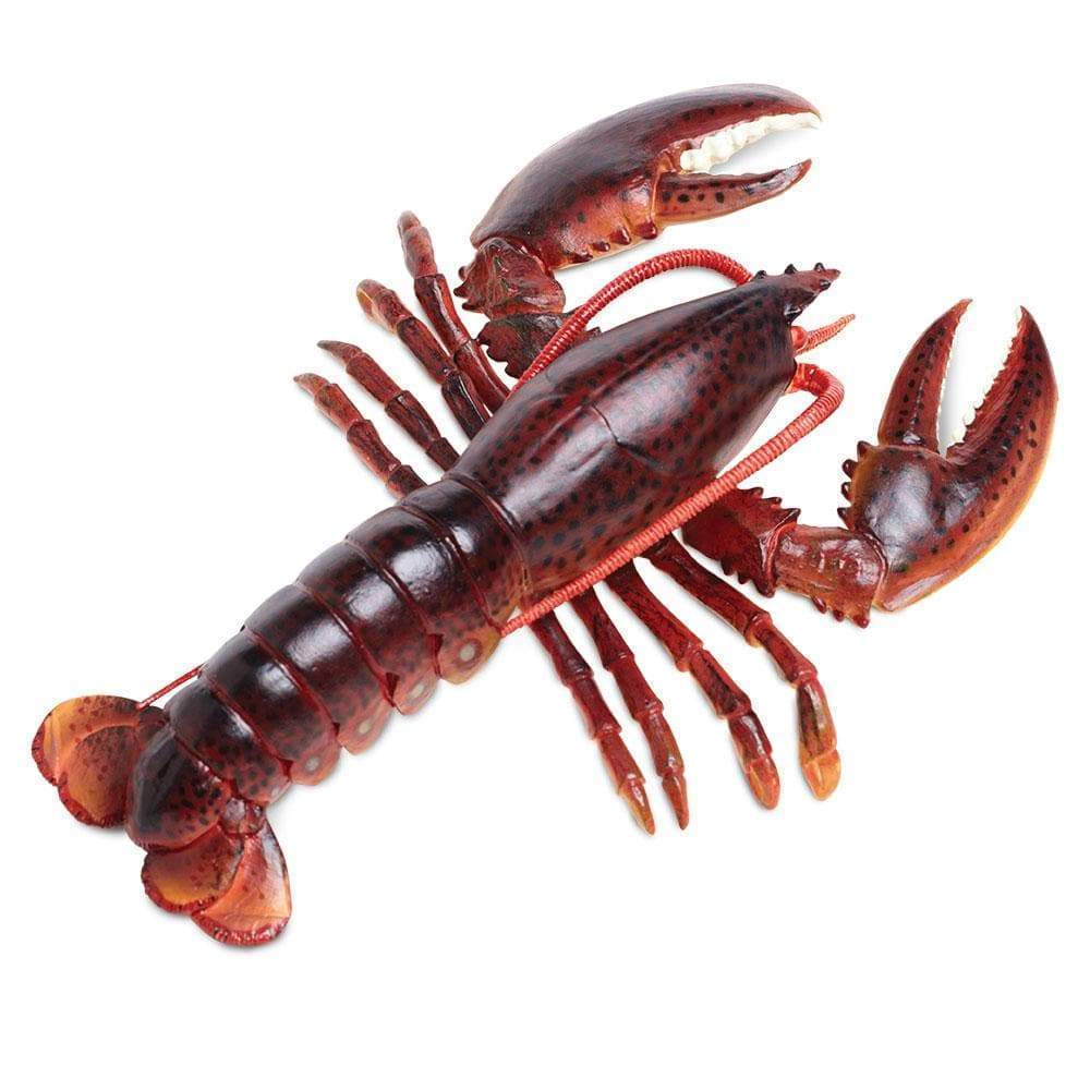 Maine Lobster Toy-4
