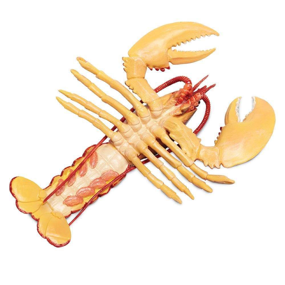 Maine Lobster Toy-3