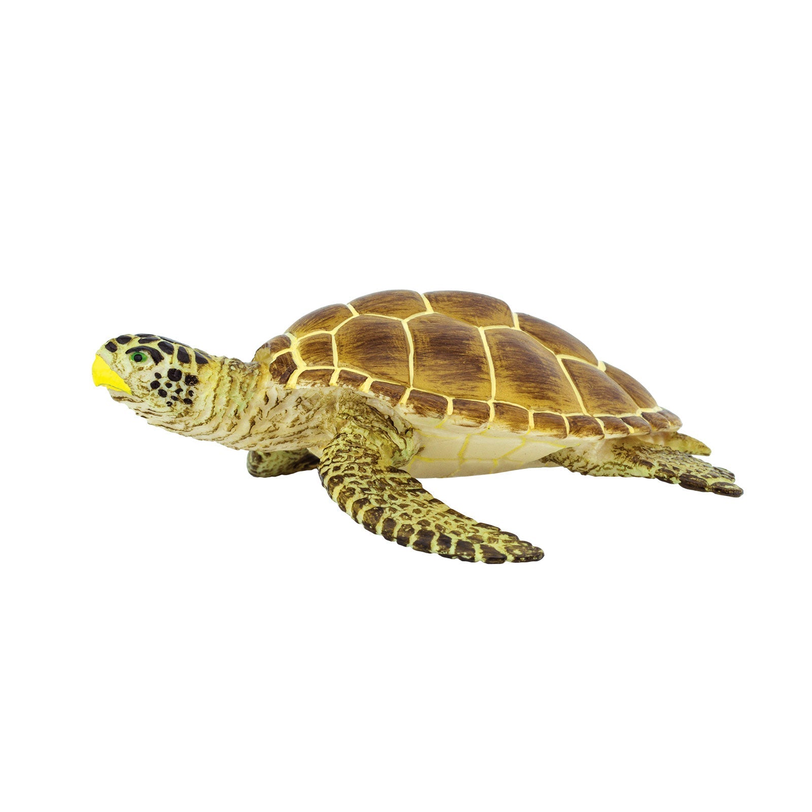 Loggerhead Turtle Toy-0