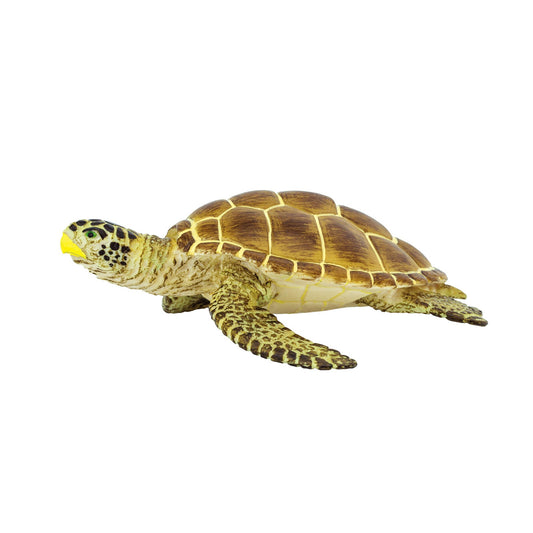 Loggerhead Turtle Toy-0