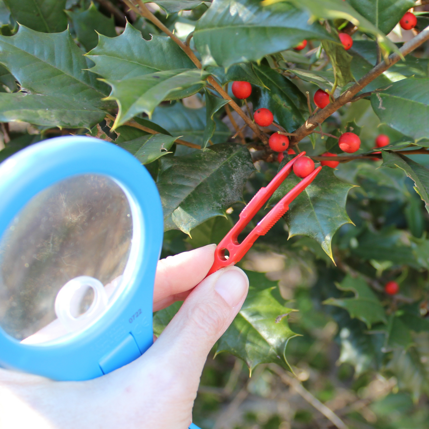 Mega-10 Magnifying Glass-3