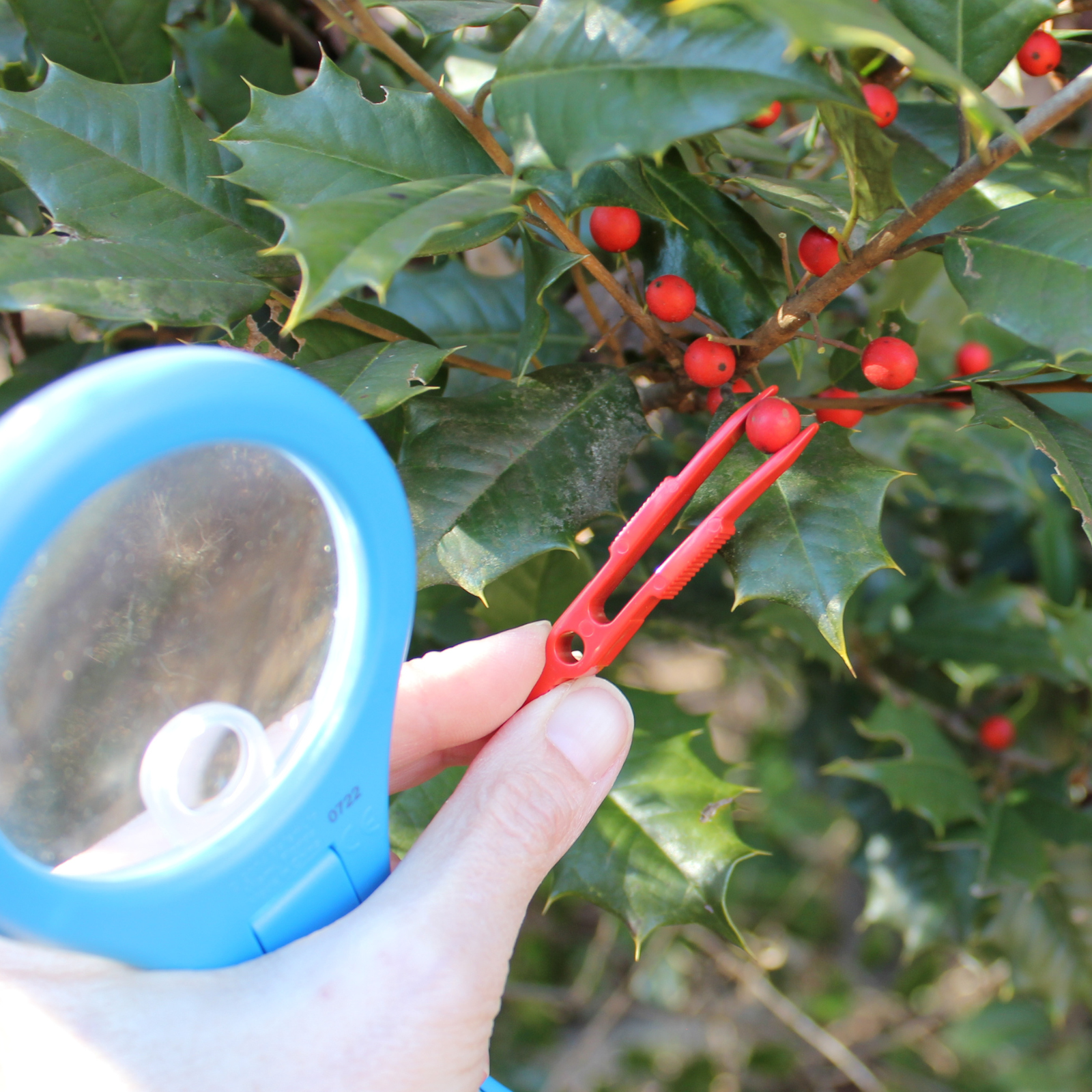 Mega-10 Magnifying Glass-3